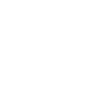 Erlenmeyer2